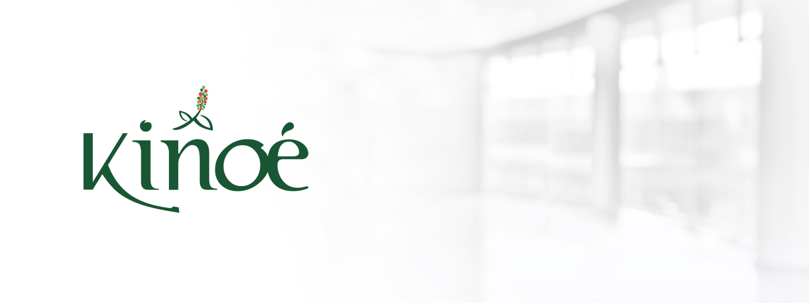 Formato Hover Web KINOE LOGO