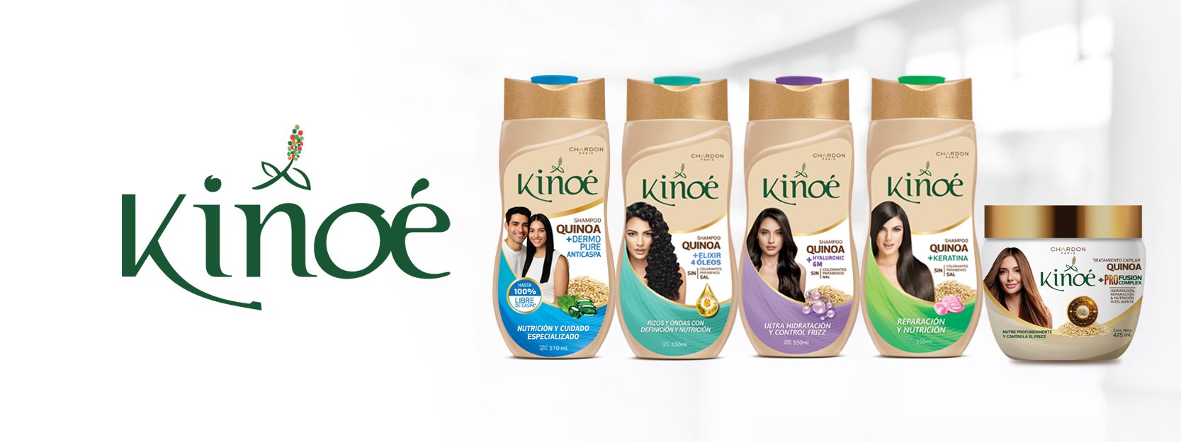 Formato Hover Web KINOE copia